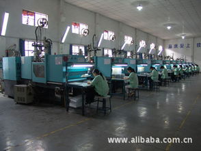 模具 東莞市鳳崗思創(chuàng)塑膠制品廠